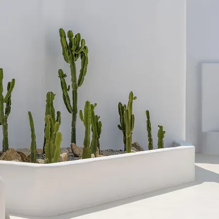 Szálloda Rocabella Mykonos - Member Of Design 5*