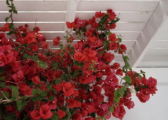 Szálloda Rocabella Mykonos